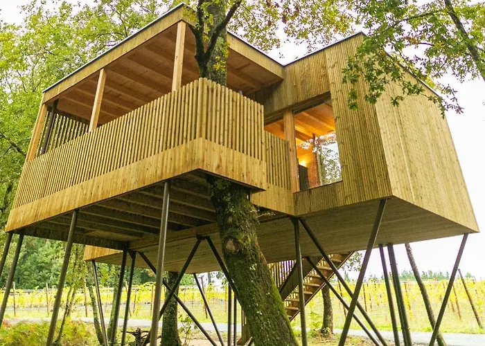 Cabanas Enoturismo Maria Manuela